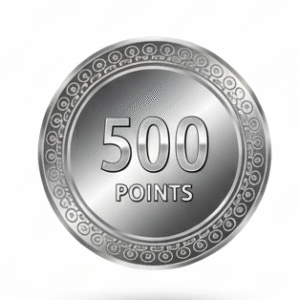 500 Points Plan